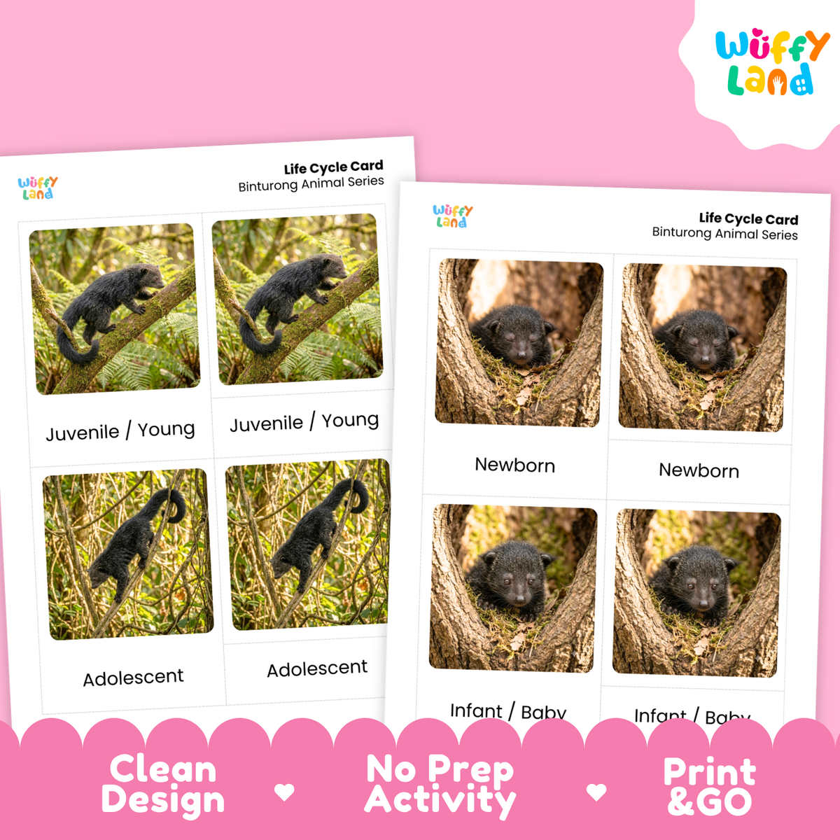 Two printable life cycle cards for binturong animals shown on a pink background. The cards feature photos of a small dark animal in different life stages: juvenile/young, newborn, adolescent, and infant/baby, with labels underneath.