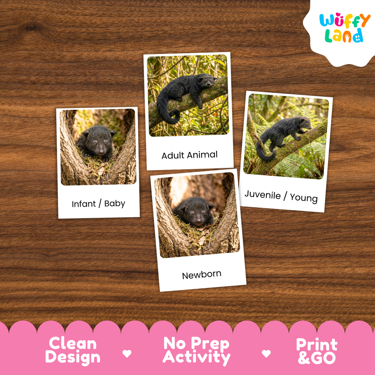 Four printed activity cards showing a dark animal in different life stages (Infant/Baby, Adult Animal, Juvenile/Young, Newborn) arranged on a brown wood background, with a Wuffy Land logo in the top right and a pink banner at the bottom.