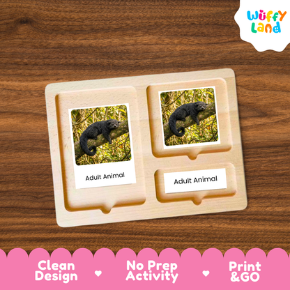 A wooden Montessori-style activity board with two labeled slots reading 'Adult Animal' and printed photos of a dark animal in grass, shown on a wood-grain background. A 'Wuffy Land' logo appears in the top right, and a pink banner at the bottom highlights 'Clean Design', 'No Prep Activity', and 'Print & GO'.