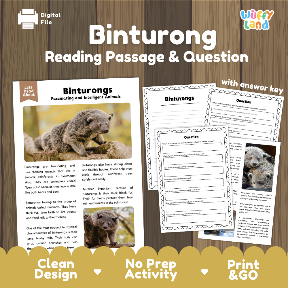 Binturong Reading Passage and Comprehension Questions Worksheets with Answer Key