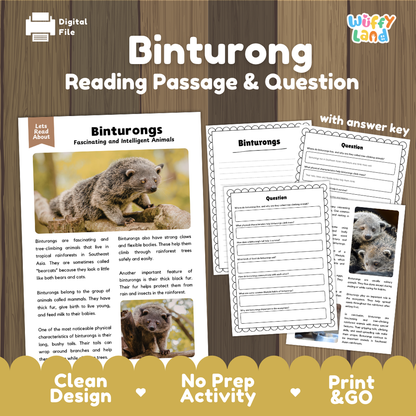 Binturong Reading Passage and Comprehension Questions Worksheets with Answer Key