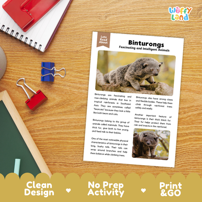 Binturong Reading Passage and Comprehension Questions Worksheets with Answer Key