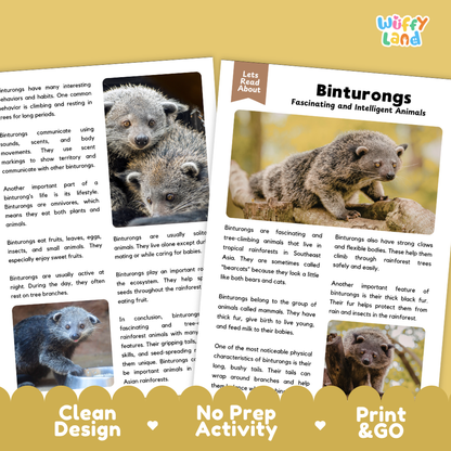 Binturong Reading Passage and Comprehension Questions Worksheets with Answer Key