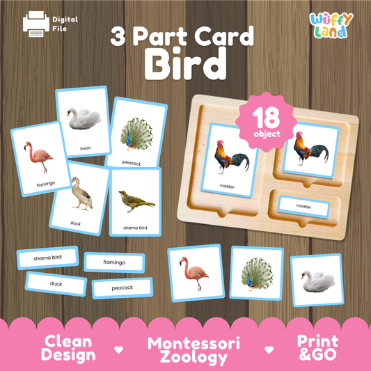 Bird 3 part cards Montessori printable featuring 18 birds with realistic pictures, word labels and matching cards