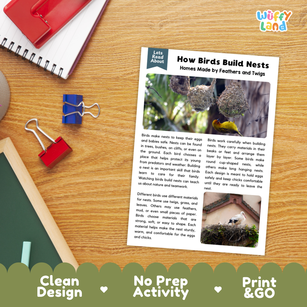 Printable student worksheet with short-answer reading comprehension questions covering birds and animal behavior