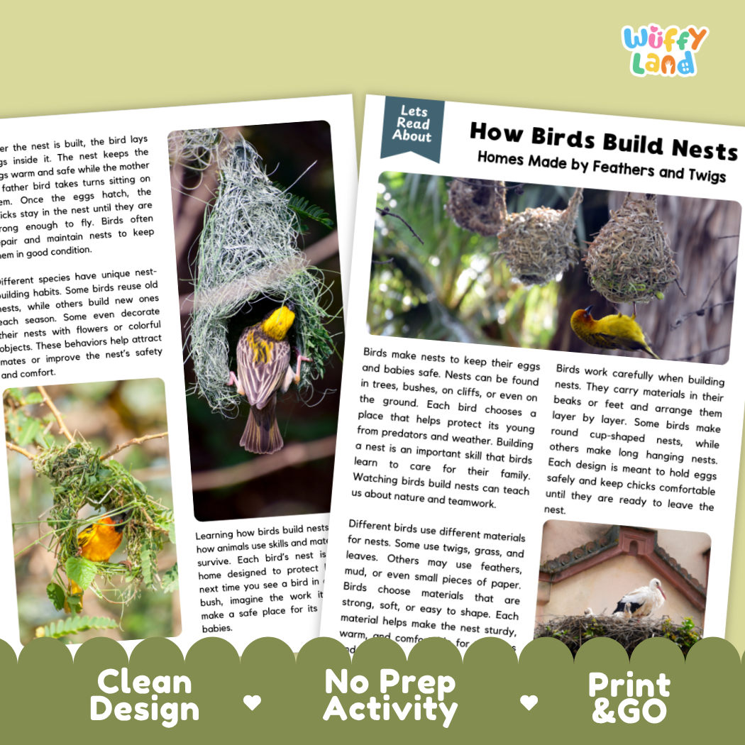 Complete teacher answer key worksheet providing detailed model responses for bird nest comprehension questions