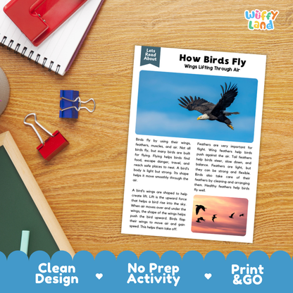 Printable student worksheet with short-answer reading comprehension questions covering bird flight and science