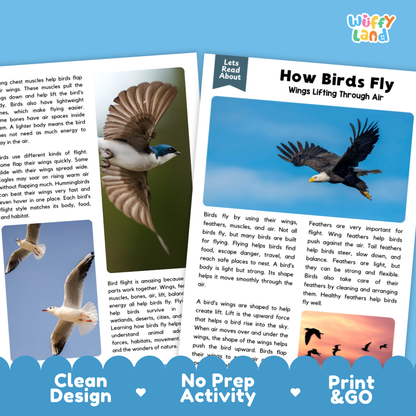 Complete teacher answer key worksheet providing detailed model responses for bird flight comprehension questions