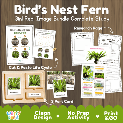 Bird's nest fern plant 3in1 real image bundle complete study printable featuring life cycle cut and paste worksheets, Montessori 3-part cards, and research pages