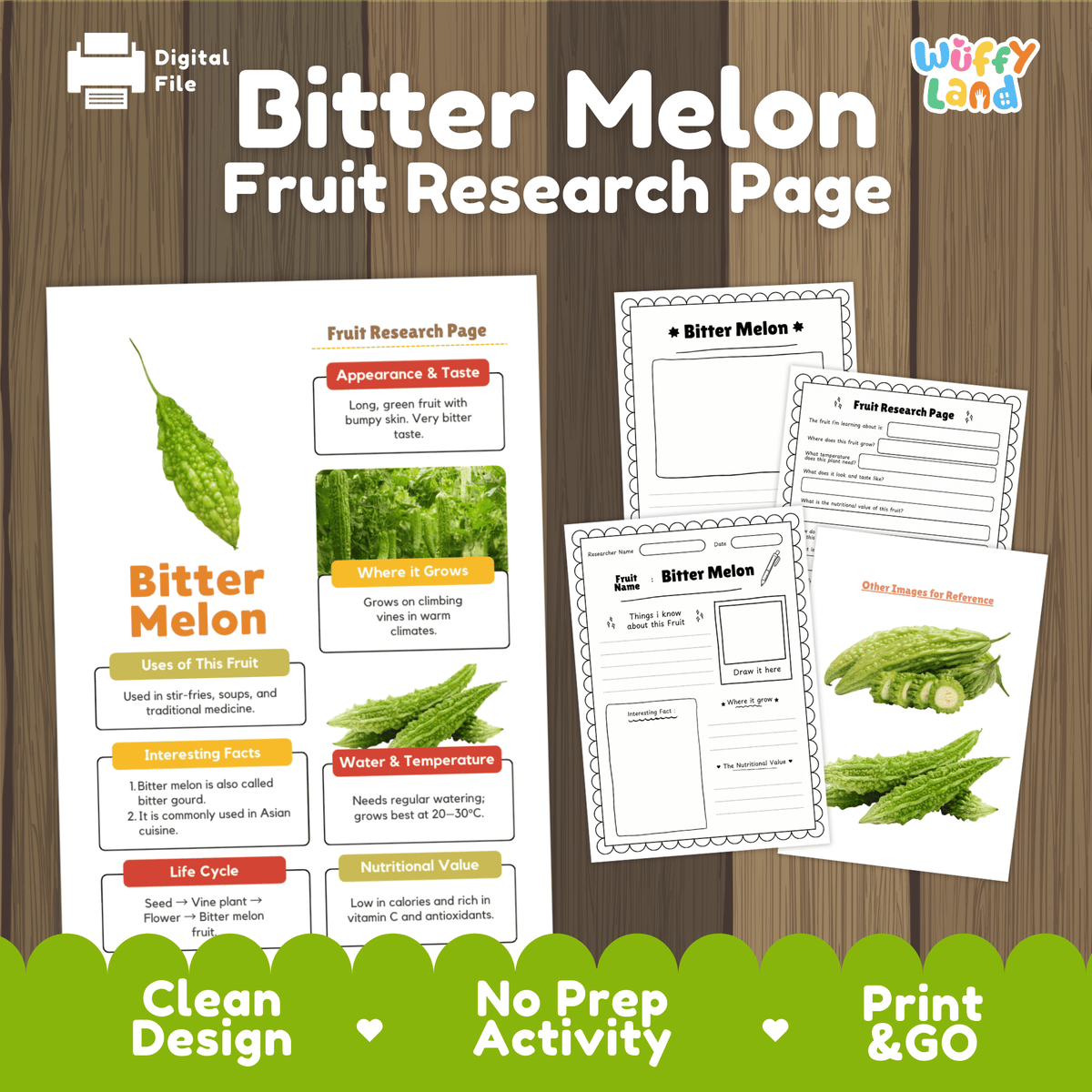 Student fruit research printable fact sheet detailing bitter melon appearance, climbing trellis facts, tropical climate, and nutrition with real images 📝🔍