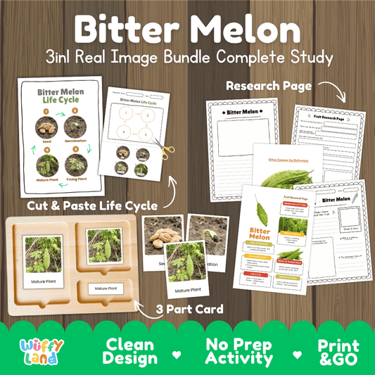 Complete Bitter Melon 3-in-1 real image study bundle featuring cut and paste worksheets, Montessori 3-part cards, and research pages 🥒🌱