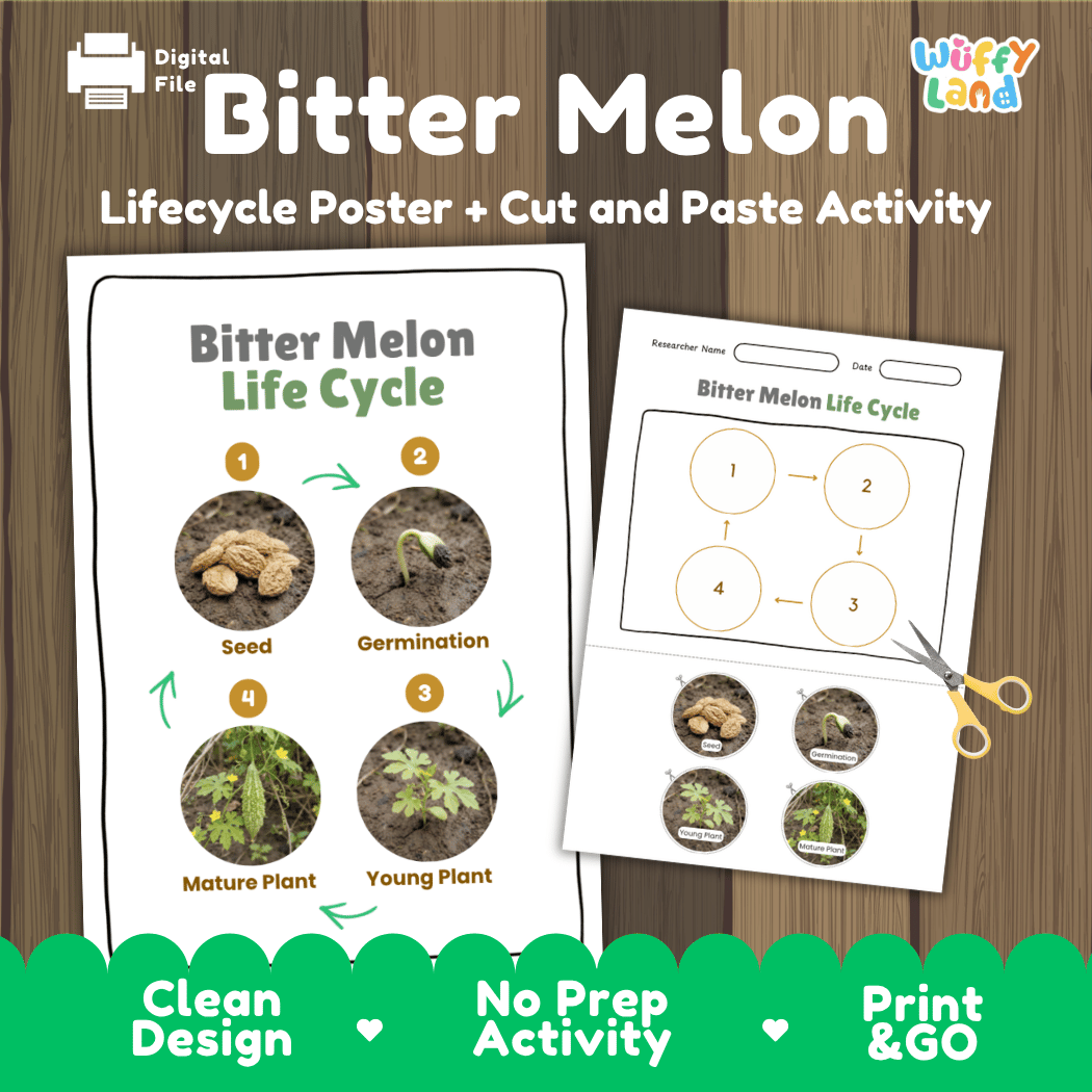 Bitter melon life cycle educational poster and cut and paste printable sequencing activity featuring real photos for elementary science