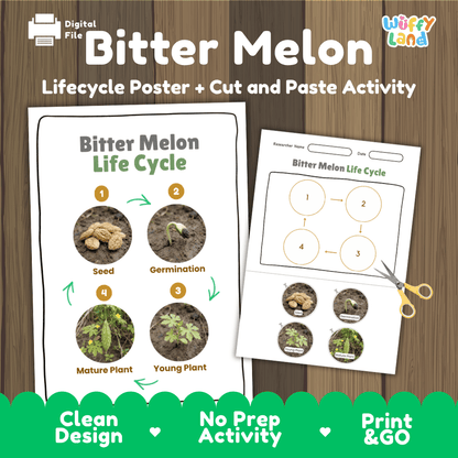 Bitter melon life cycle educational poster and cut and paste printable sequencing activity featuring real photos for elementary science