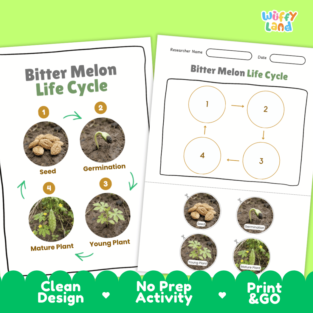 Print and go digital PDF plant science activity featuring clean design layout, researcher name line, and zero prep classroom format