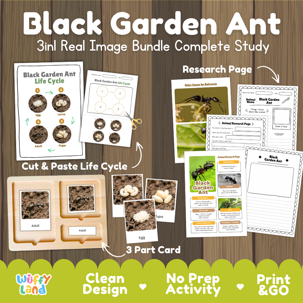 Black Garden Ant 3-in-1 real image bundle complete study cover showing cut and paste life cycle, 3 part cards, and research pages