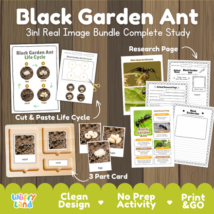 Black Garden Ant 3-in-1 real image bundle complete study cover showing cut and paste life cycle, 3 part cards, and research pages