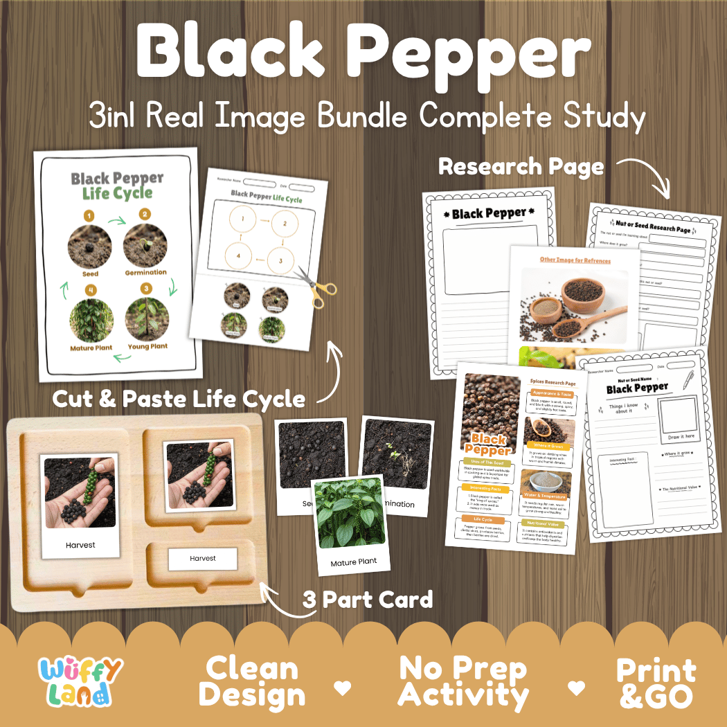 Black pepper 3in1 real image bundle complete study printable featuring life cycle cut and paste worksheets, Montessori 3-part cards, and research pages