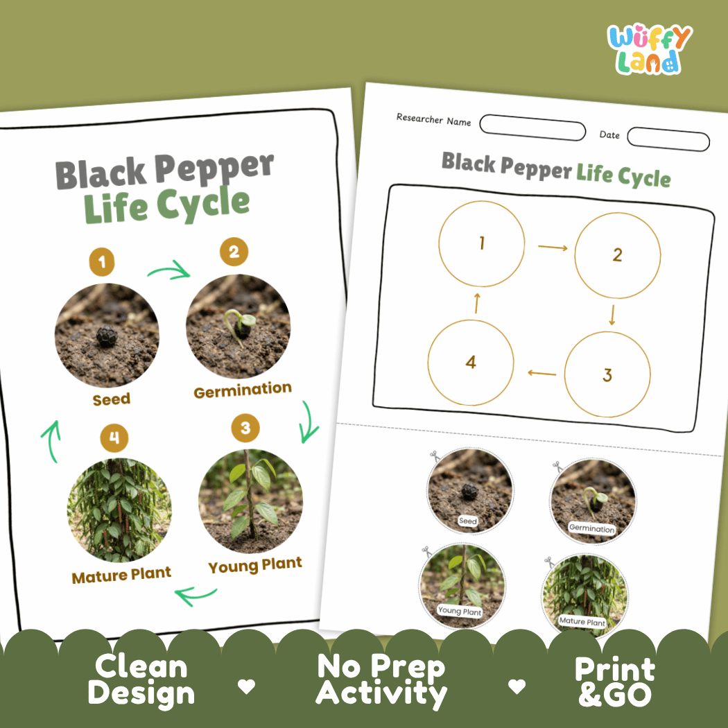 Print and go digital PDF plant science activity featuring clean design layout, researcher name line, and zero prep classroom format