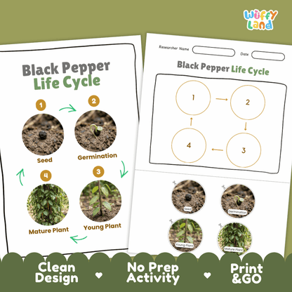 Print and go digital PDF plant science activity featuring clean design layout, researcher name line, and zero prep classroom format
