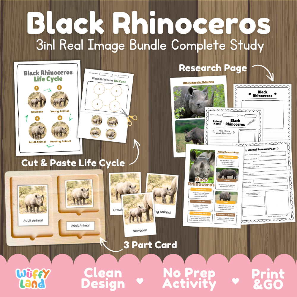 Black rhinoceros 3-in-1 real image bundle complete study cover showing cut and paste life cycle, 3 part cards, and research pages