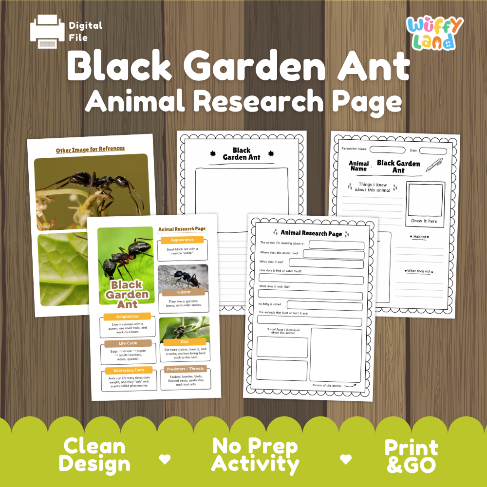 Digital preview of a 'Black Garden Ant Animal Research Page' activity sheet set on a wood background, featuring printable worksheet pages and a sample filled-out poster with ant photos and text. Brand logo 'Wiffly Land' appears in the top right.