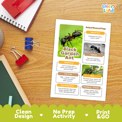 A printed educational poster about a black garden ant laid on a desk with school supplies around it. The poster has a white background with a large ant photo, text sections, and colorful orange headers.