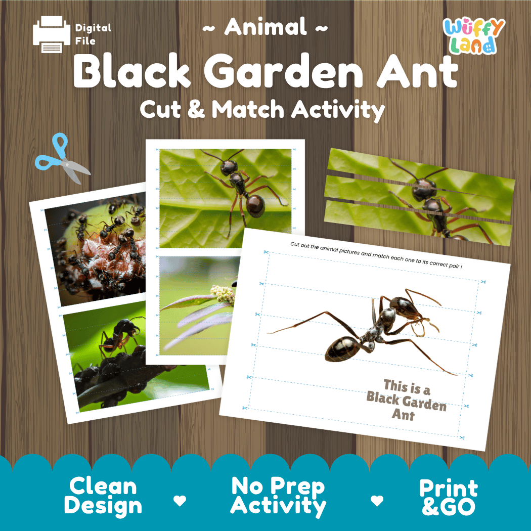 Black Garden Ant Cut and Match Activity Printables Worksheets