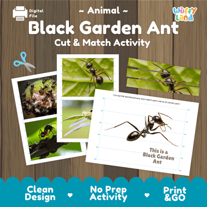 Black Garden Ant Cut and Match Activity Printables Worksheets