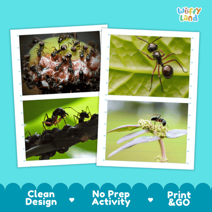 Black Garden Ant Cut and Match Activity Printables Worksheets