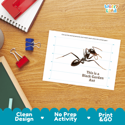 Black Garden Ant Cut and Match Activity Printables Worksheets