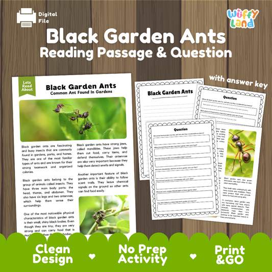 Digital reading activity sheet set about Black Garden Ants, shown on a wood background with the title 'Black Garden Ants Reading Passage & Question' and a 'Wiffly Land' logo. The set includes a passage page with ant photos and text, a worksheet page with blank question areas, and an answer key page.