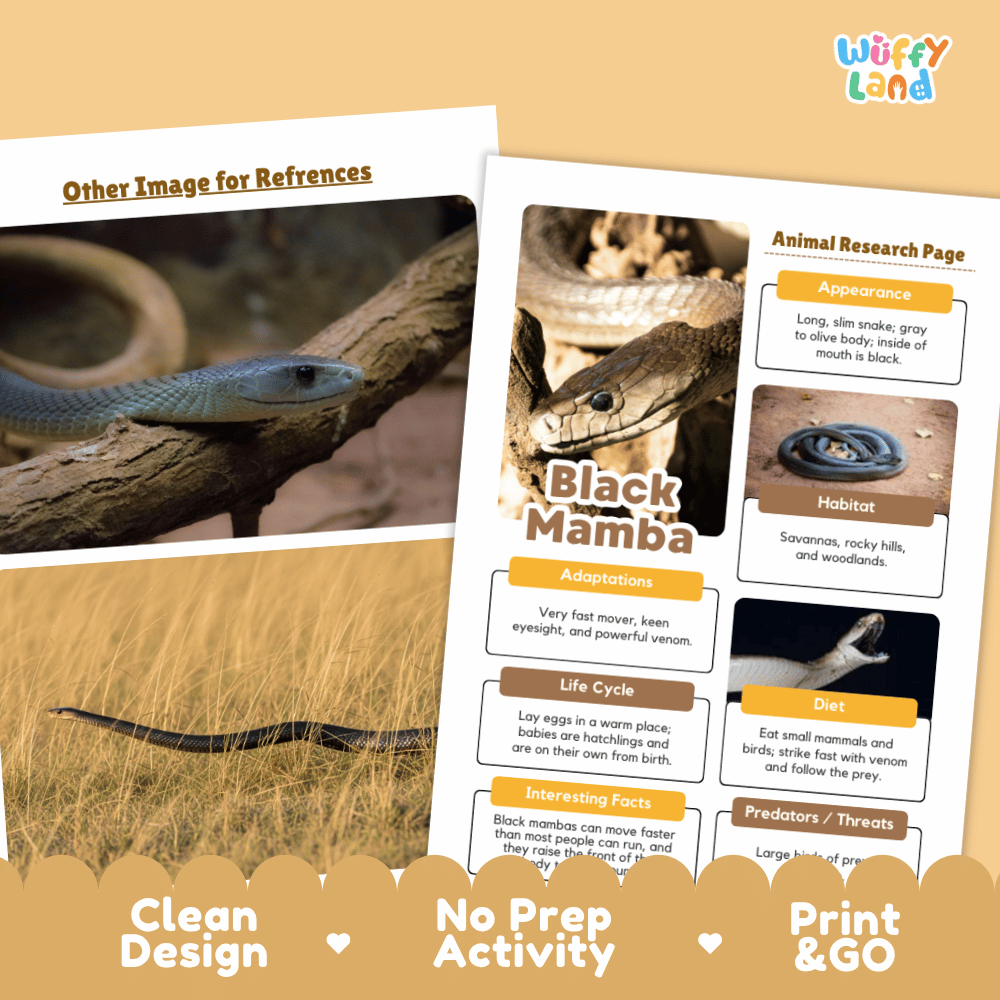 A promotional graphic for an educational animal research page about the Black Mamba snake, showing a printed worksheet layout with text boxes, a snake photo, and a real snake on grass. The design includes the brand name 'Wiffy Land' in the top right and marketing callouts along the bottom: 'Other Image for References,' 'Clean Design,' 'No Prep Activity,' and 'Print & GO.