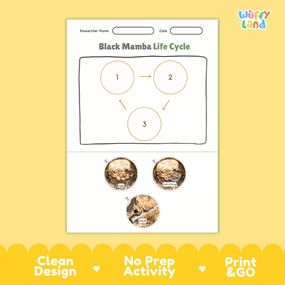 Black Mamba Life Cycle Poster and Cut and Paste Worksheet Activity