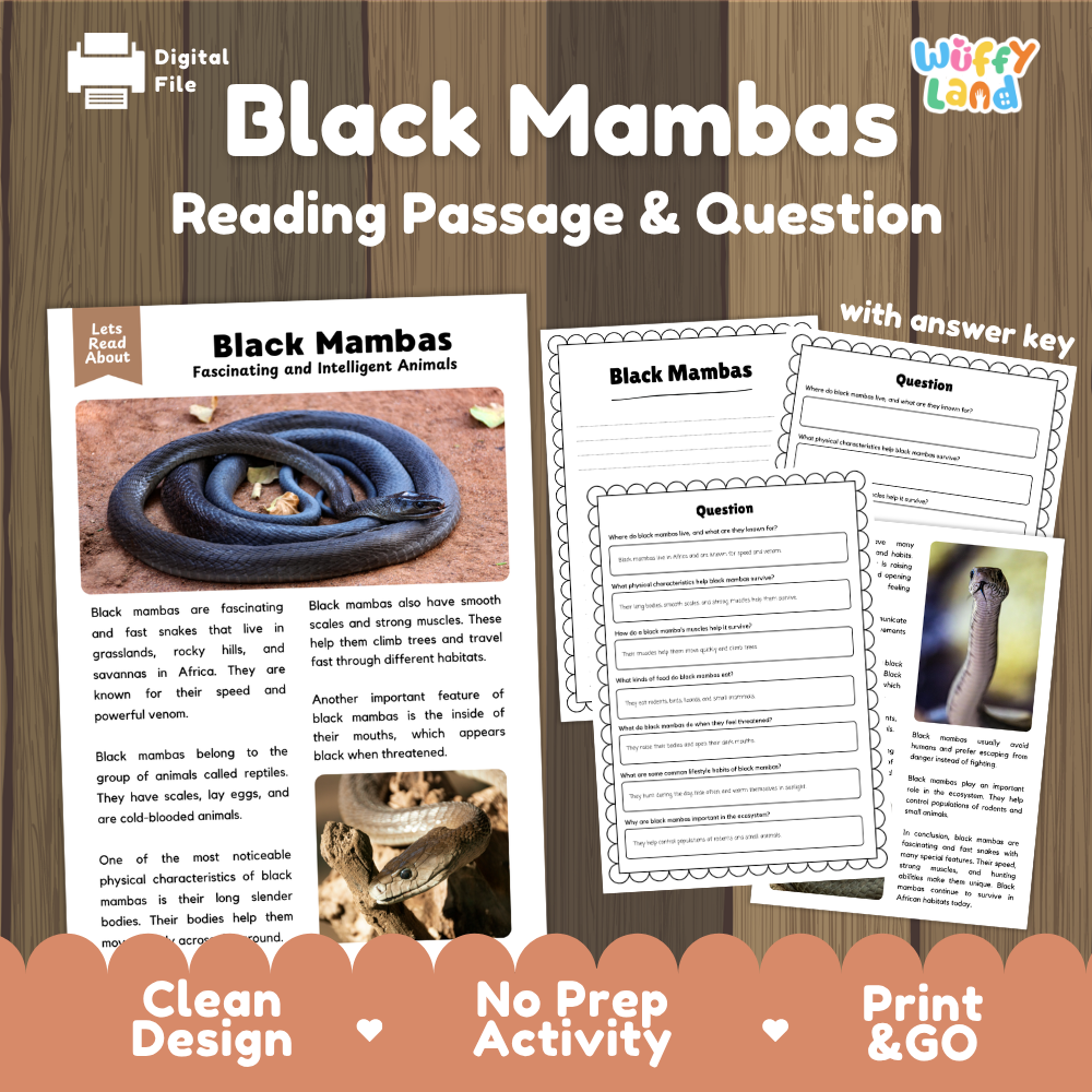 Black Mambas Reading Passage and Comprehension Questions Worksheets