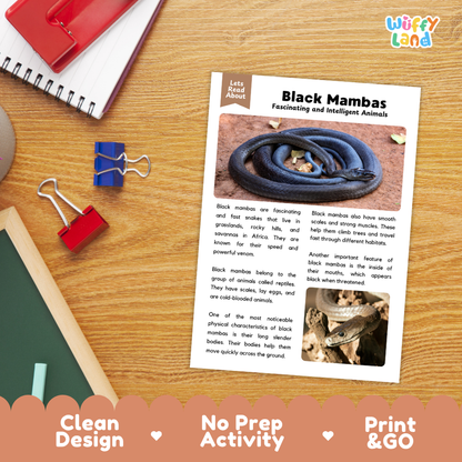 Black Mambas Reading Passage and Comprehension Questions Worksheets