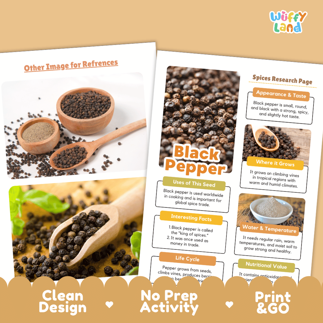 Black Pepper Nut and Seed Research Page Worksheets and Fact Sheet