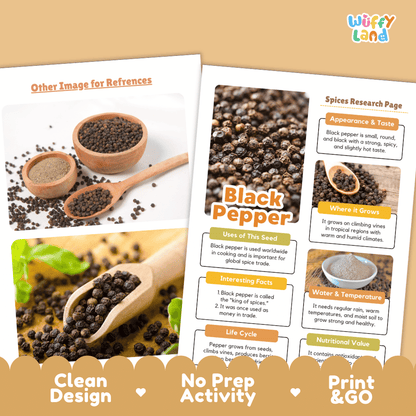 Black Pepper Nut and Seed Research Page Worksheets and Fact Sheet