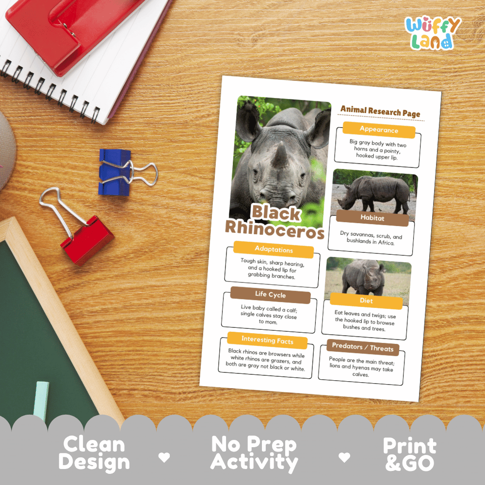A printed educational poster titled 'Black Rhinoceros' with animal research page layout, photographed on a wooden desk with school supplies around it. The poster includes a large rhino photo and text boxes about adaptations, habitat, diet, life cycle, and interesting facts.
