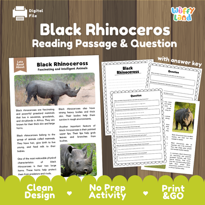 Black Rhinoceros Reading Passage and Comprehension Questions Worksheets