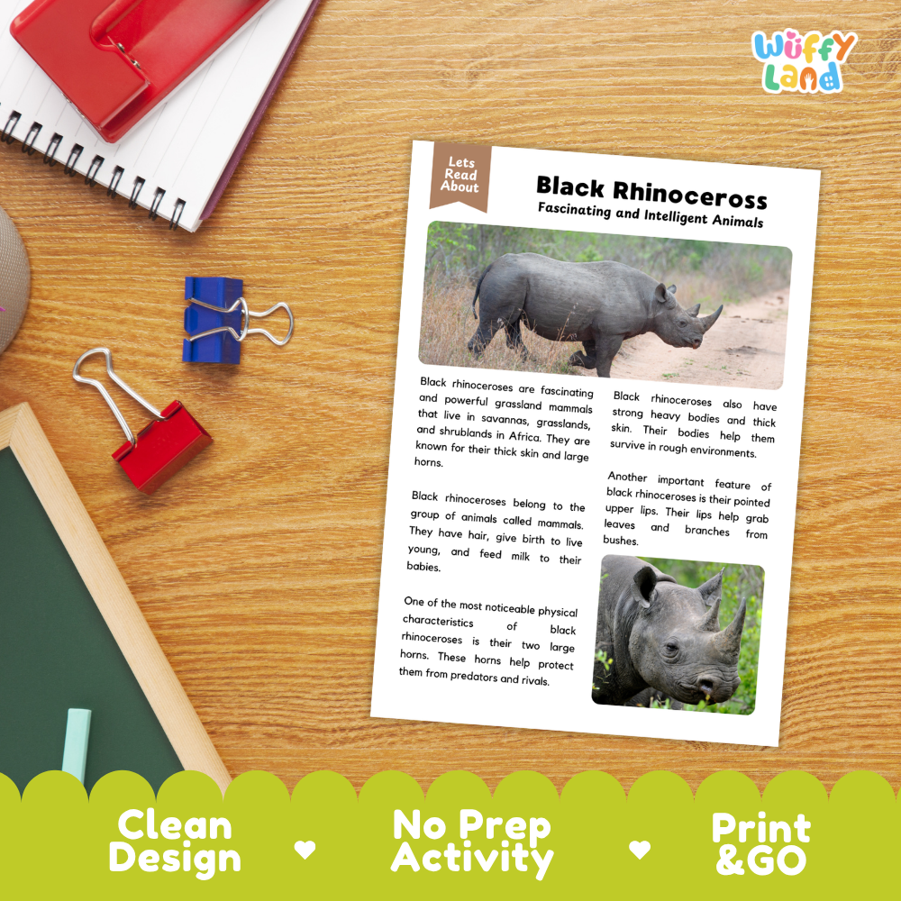 Black Rhinoceros Reading Passage and Comprehension Questions Worksheets