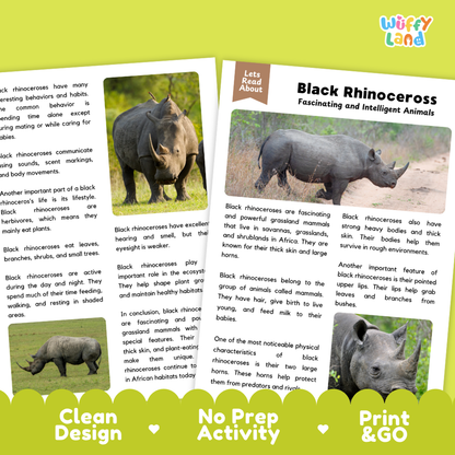 Black Rhinoceros Reading Passage and Comprehension Questions Worksheets