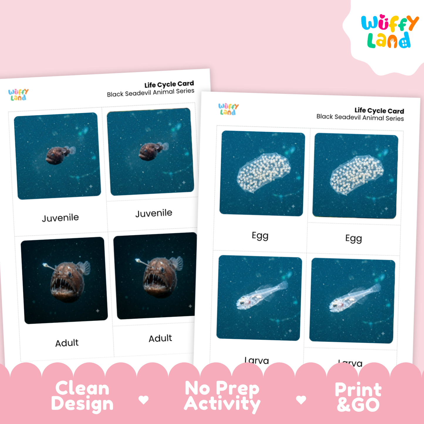 Black Seadevil Life Cycle Flashcards | 3 Part Cards Montessori Science Activity