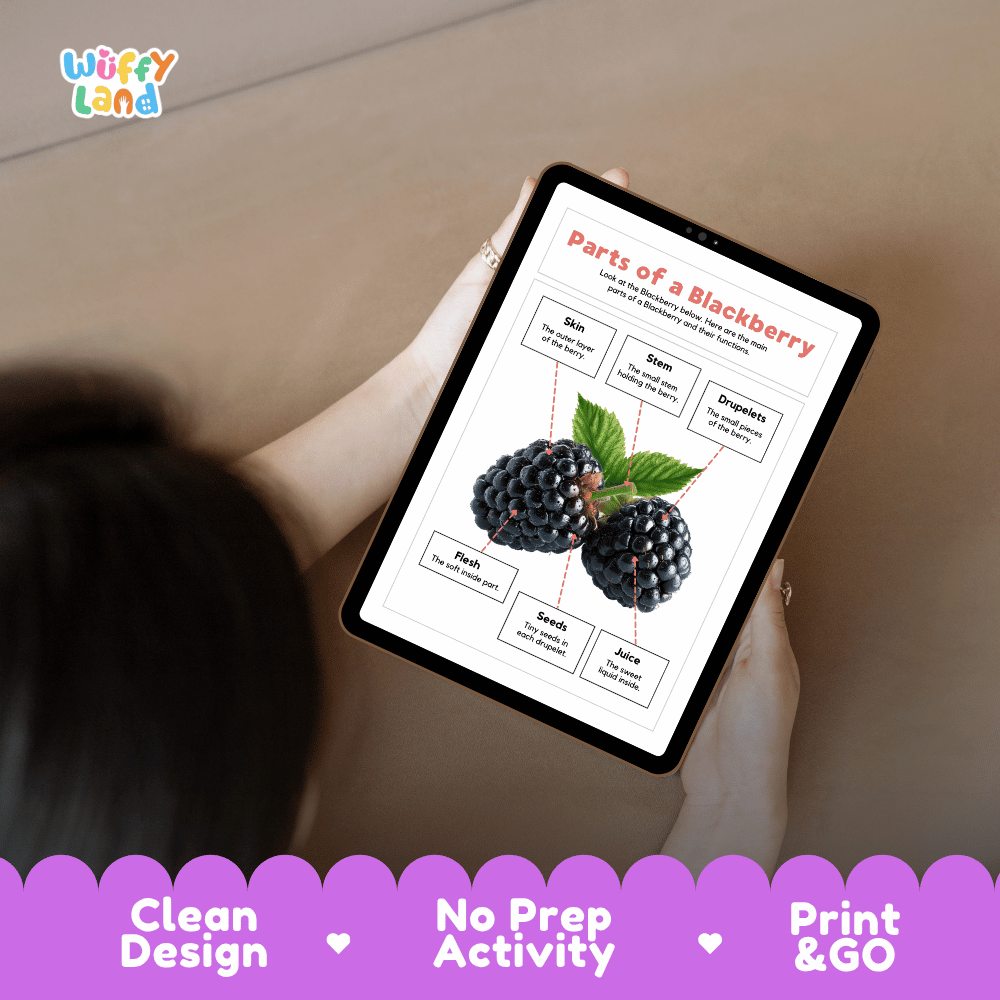 Educational cut and paste blackberry anatomy worksheet with printable word cutout tiles for skin, stem, drupelets, flesh, seeds, and juice