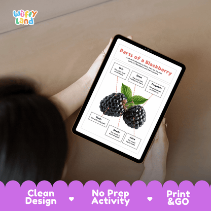 Educational cut and paste blackberry anatomy worksheet with printable word cutout tiles for skin, stem, drupelets, flesh, seeds, and juice