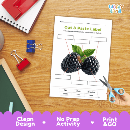 Printable plant biology worksheet showing realistic ripe blackberries with blank labeling boxes and a vocabulary word bank for writing practice