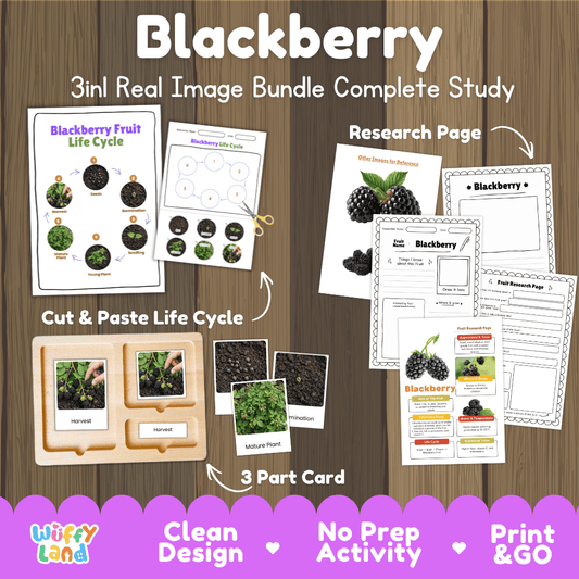 Complete Blackberry Fruit 3-in-1 real image study bundle featuring cut and paste worksheets, Montessori 3-part cards, and research pages 🍇🌱