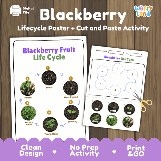Printable blackberry fruit life cycle cut and paste sequencing worksheet with real photography of seeds, germination, seedling, and harvest ✂️🔄