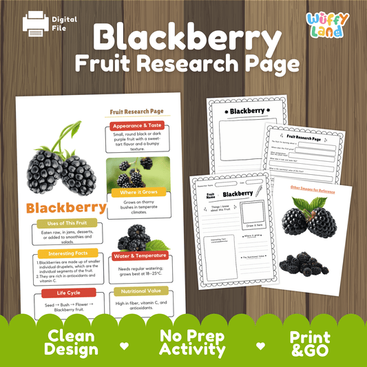 Student fruit research printable fact sheet detailing blackberry appearance, aggregate drupelet facts, temperate climate, and nutrition with real images 📝🔍