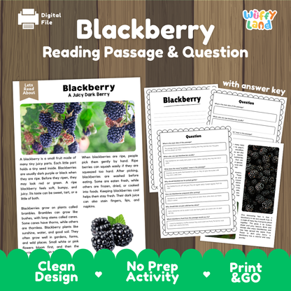 Blackberry reading comprehension passage and questions printable activity pack with answer key for elementary students