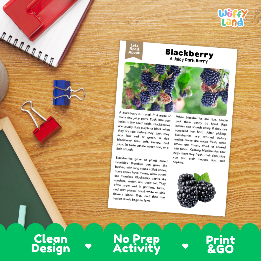 Student reading comprehension worksheet with short-answer questions and lined sections about blackberries